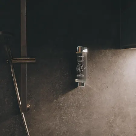 New! Alpinero 405 By We Rent アパート ピーゼンドルフ