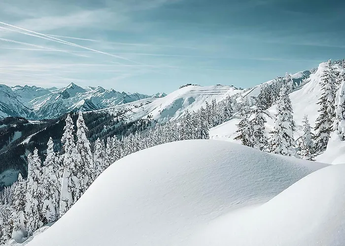 New! Alpinero 405 By We Rent Lejlighed Piesendorf