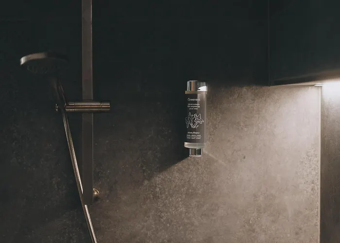 New! Alpinero 405 By We Rent Lejlighed Piesendorf