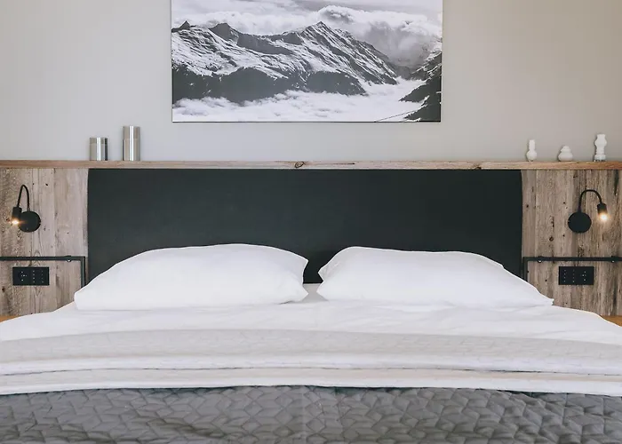 Lejlighed New! Alpinero 405 By We Rent Piesendorf