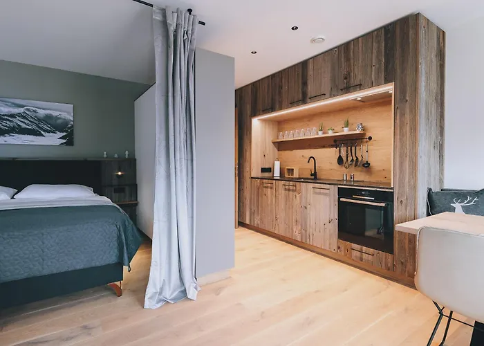 New! Alpinero 405 By We Rent * Piesendorf